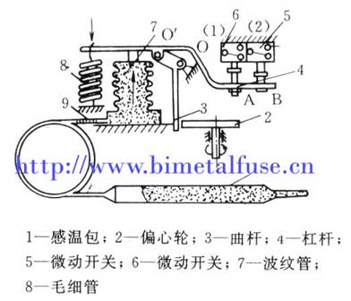 Vapor pressure type mechanical thermostat 
